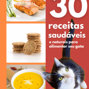 E-book 30 Receitas Saudáveis e Naturais para Alimentar seu Gato