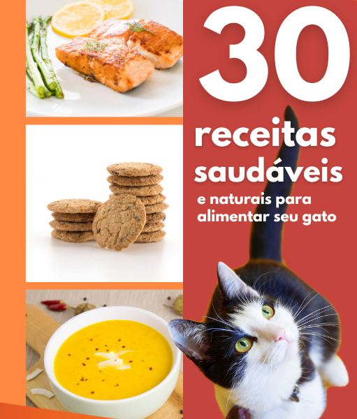 E-book 30 Receitas Saudáveis e Naturais para Alimentar seu Gato